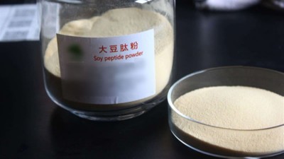 生產(chǎn)大豆低聚肽與多肽會用到哪些酶制劑？